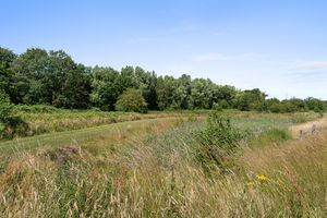 Photo 36- click for photo gallery
